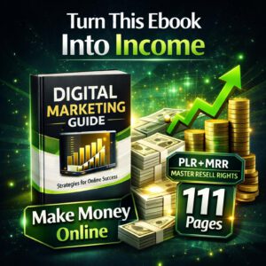Earn Money Online Ebook PLR MRR English | 111 Page Canva Editable Digital Product | Passive Income Resale Rights