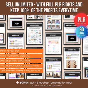 Canva Crash Course with PLR Resell Rights: Editable Video Tutorials and Ebook, Comprehensive Canva Training Guide for Beginners, Resellers, and Etsy Sellers